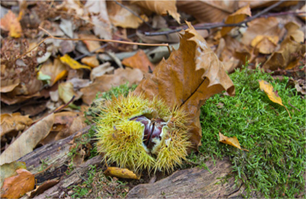 安全支付保障的ddos攻击工具